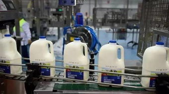 奶粉股 德運(yùn)母公司邁高關(guān)閉工廠,股價暴跌10 ,數(shù)百人將失業(yè)