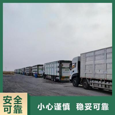 滁州與湖州長興 生豬運(yùn)輸合作的繁榮紐帶